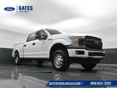 2019 Ford F-150 XL