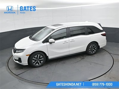 2026 Honda Odyssey EX-L