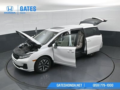 2026 Honda Odyssey EX-L