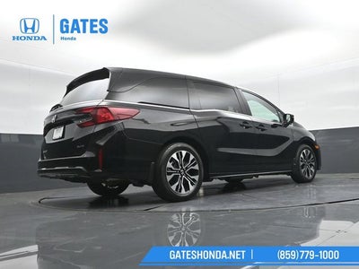 2025 Honda Odyssey Elite