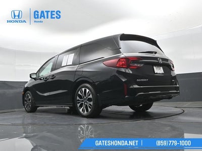 2025 Honda Odyssey Elite