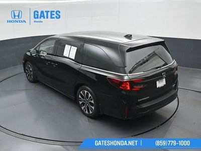 2025 Honda Odyssey Elite