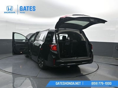 2025 Honda Odyssey Elite