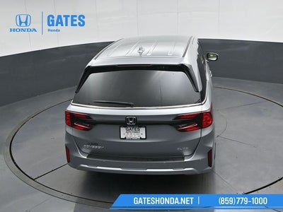 2026 Honda Odyssey Elite