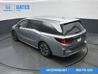 2026 Honda Odyssey Elite