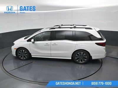 2026 Honda Odyssey Elite