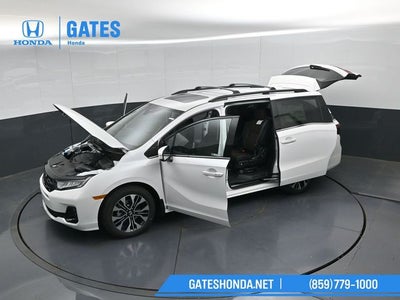 2026 Honda Odyssey Elite