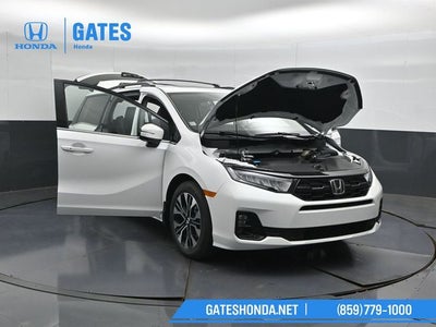 2026 Honda Odyssey Elite