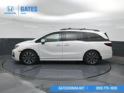 2026 Honda Odyssey Elite