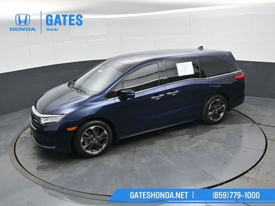 2024 Honda Odyssey Elite