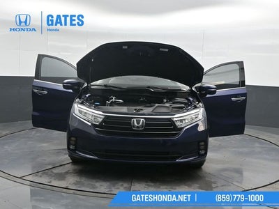2024 Honda Odyssey Elite