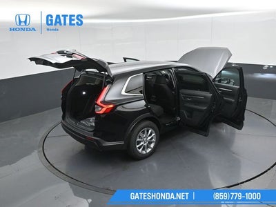 2026 Honda CR-V EX