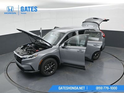 2026 Honda CR-V EX-L
