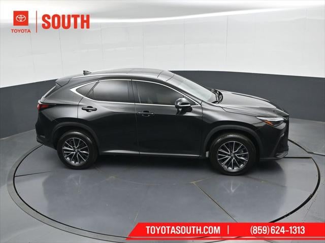 2024 Lexus NX 350h Luxury