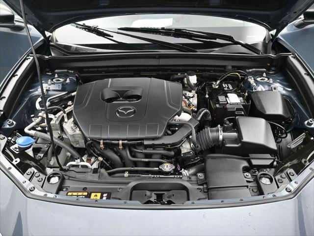 2024 Mazda Mazda CX-30 2.5 S Carbon Edition