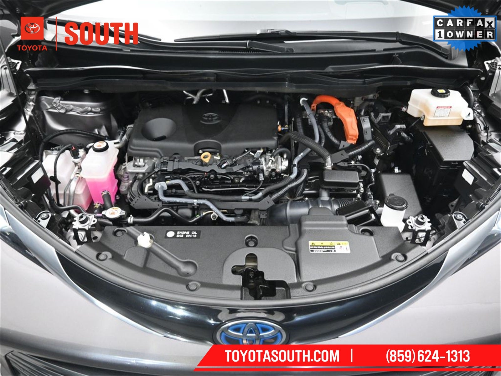 2024 Toyota Sienna Platinum 7 Passenger