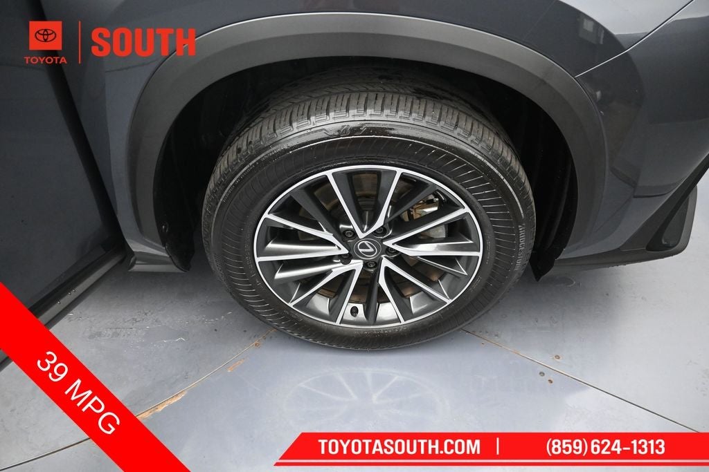 2024 Lexus NX 350h Base