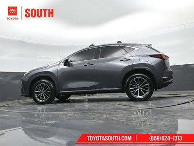 2024 Lexus NX 350h Base