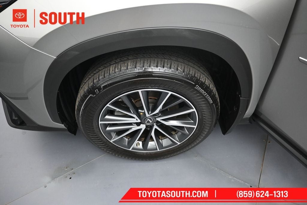 2023 Lexus NX 350h Base