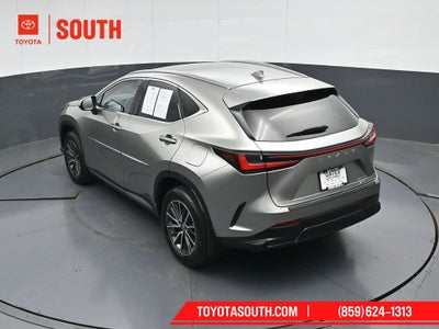 2023 Lexus NX 350h Base