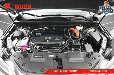 2023 Lexus NX 350h Base