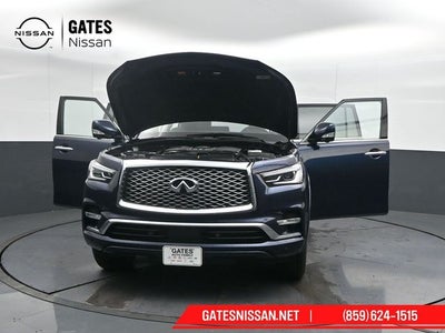2024 INFINITI QX80 LUXE