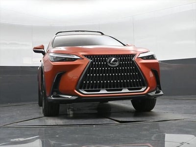 2024 Lexus NX NX 350h